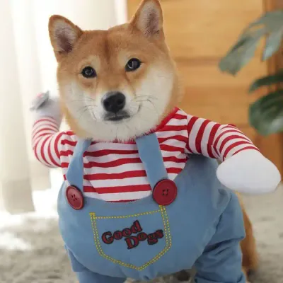 Dog Party Costume Supplier Dog Party Costume Supplier