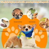 Durable dog chew toy