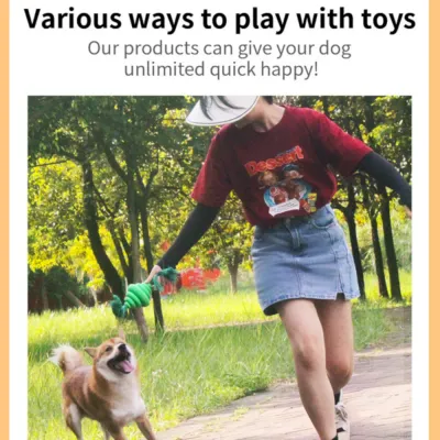 durable dogs chew toys