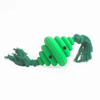 green dog chew toy