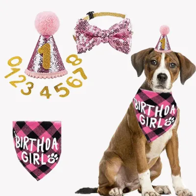 Birthday bandana for dogs Pet Bandana & Hat Set