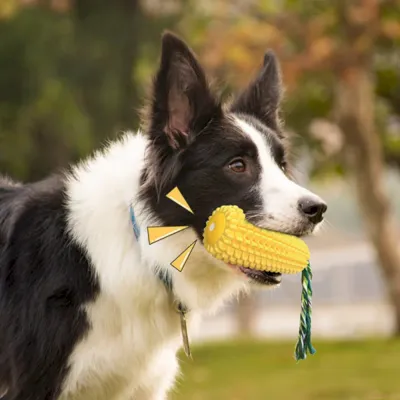 squeaky dog toys bulk squeaky dog toys bulk