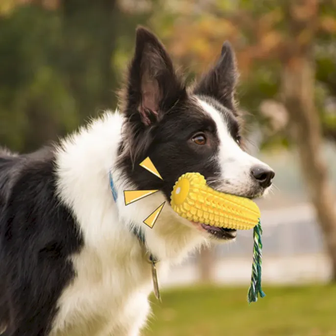 squeaky dog toys bulk