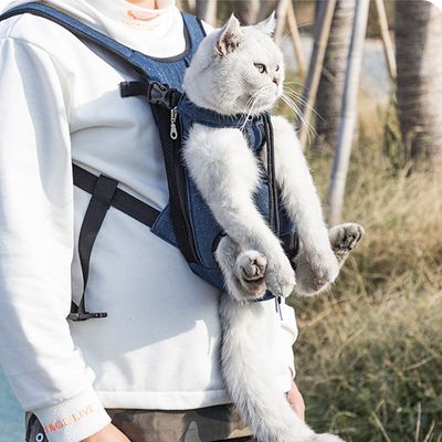 oxford cat bag