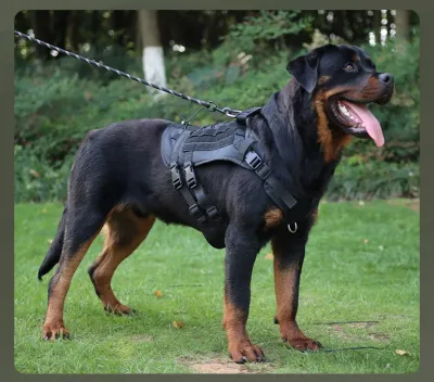 Tactical Dog Vest Wholesale