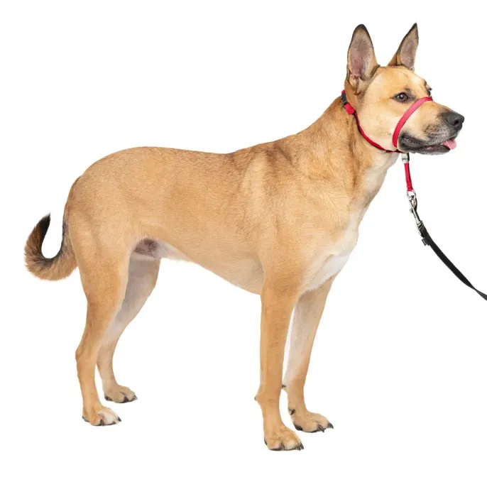 Strape Dog Muzzle Red Outdoor Adjustable Strape Dog Muzzle