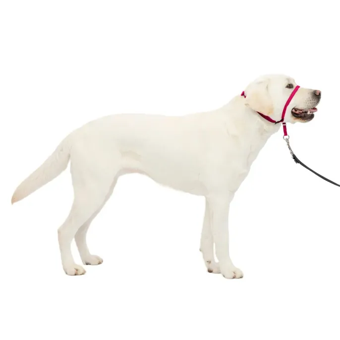Strape Dog Muzzle Rose Outdoor Adjustable Strape Dog Muzzle