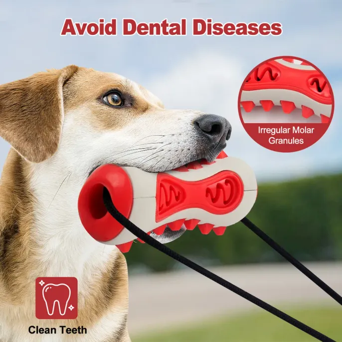 Safe for pets, the food-grade TPR material in this toy ensures that it’s gentle on teeth and gums while promoting healthy oral hygiene.