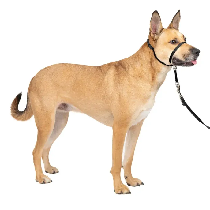 Strape Dog Muzzle Black Outdoor Adjustable Strape Dog Muzzle