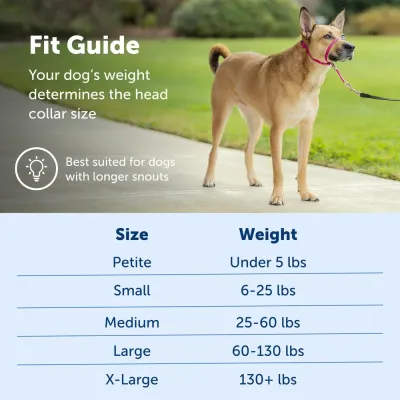 Strape Dog Muzzle Size Outdoor Adjustable Strape Dog Muzzle