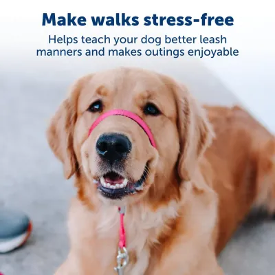 Strape Dog Muzzle Usage Outdoor Adjustable Strape Dog Muzzle