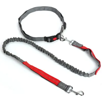 Adjustable Dog Leash Adjustable Running Leash