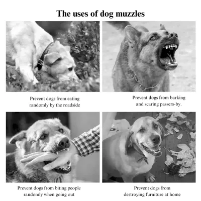 Anti Biting Barking Chewing Muzzle Supplier Anti Biting Barking Chewing Muzzle Supplier