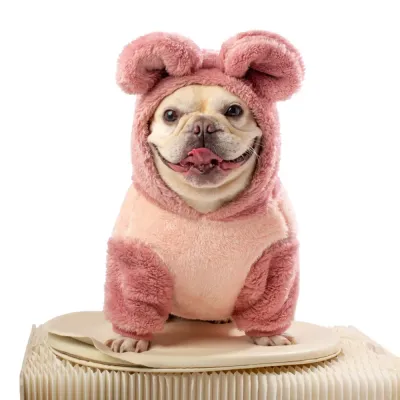 pink dog cute clothes pink dog cute clothes