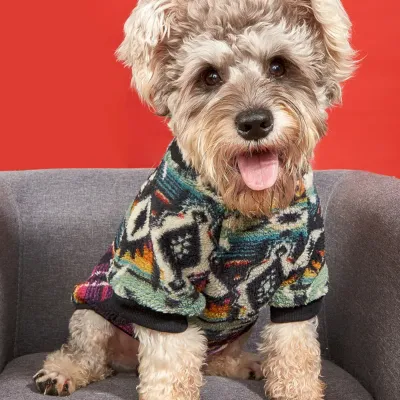 plush dog clothes