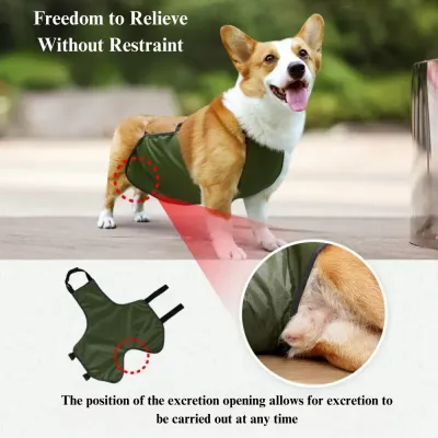 Waterproof outer layer shields pets from moisture, dirt, and external contaminants.