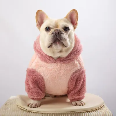 dog cute clothes dog cute clothes