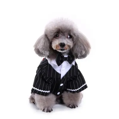 Striped Dog Tuxedo Wholesale
