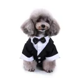 Dog Gentleman Suit Wholesale