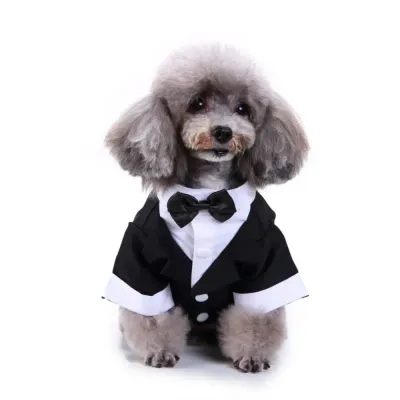 Dog Gentleman Suit Dog Gentleman Suit Wholesale
