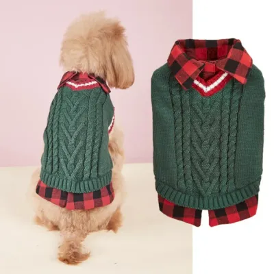 green knitted dog sweater