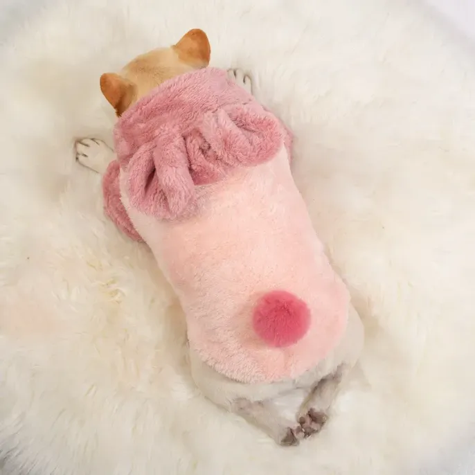 warm dogs' clothes