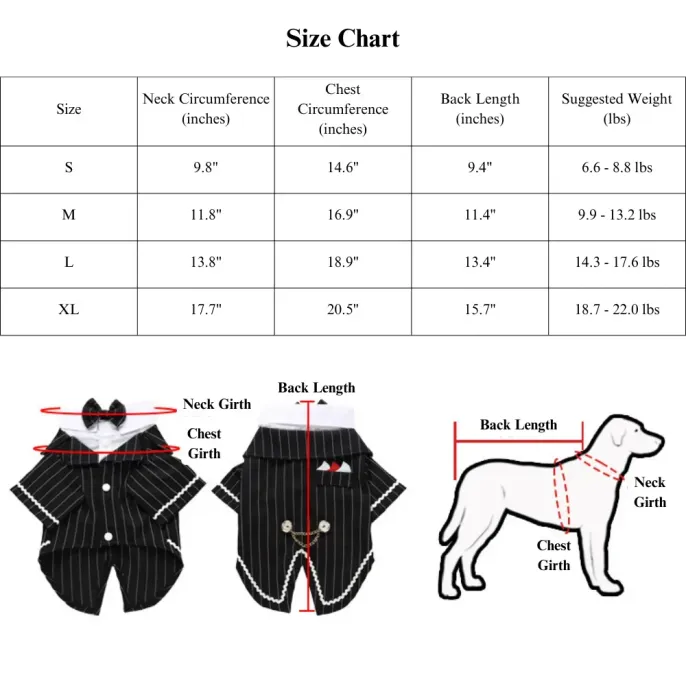 Dog Party Outfit for Pets