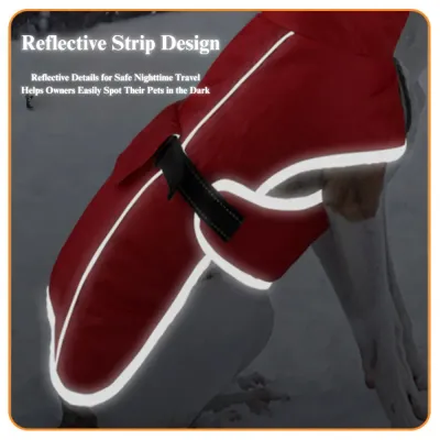 Reflective safety strips ensure visibility during night walks or low-light conditions.