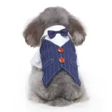 Striped Dog Suit Wholesale