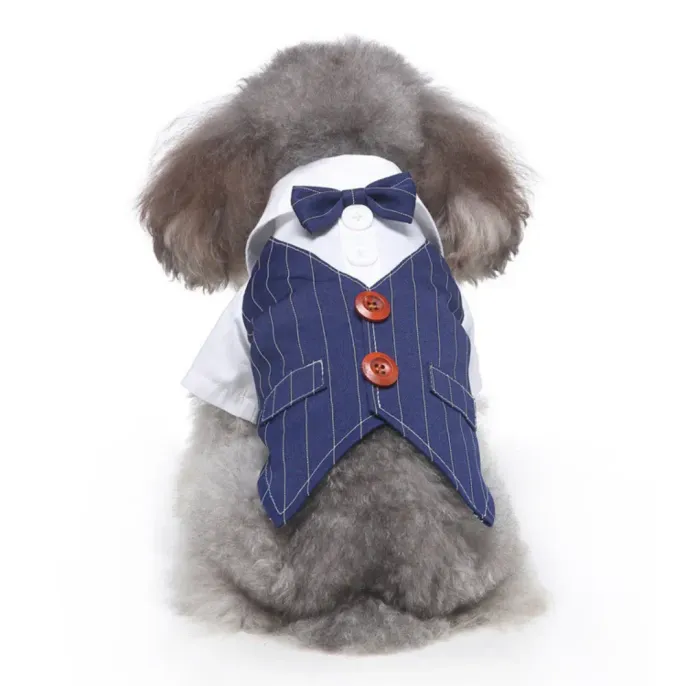 Striped Dog Suit Wholesale