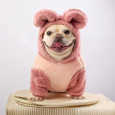 warm dog clothes warm dog clothes