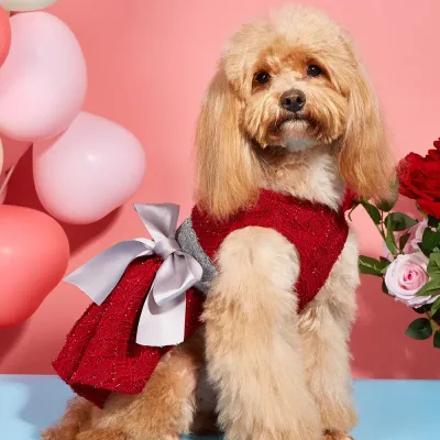 Pet Wedding Gown New Pet Prom Dress Wedding Gown Princess Dress with Bow