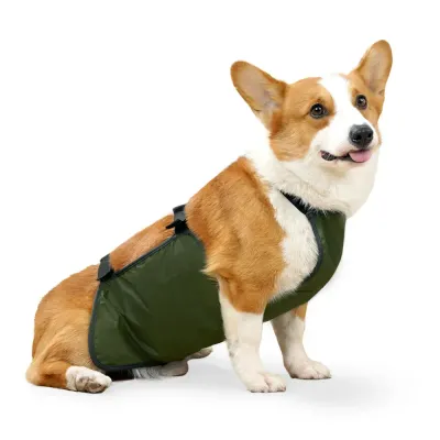 dog clothing summer_1 Helps prevent skin infections and irritation by keeping pets away from dirty surfaces.