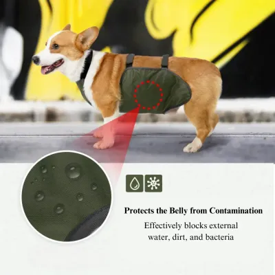 Full belly coverage protects pets from dirt, bacteria, and skin infections.
