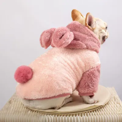 winter clothes dogs winter clothes dogs