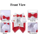 Dog Double Bow Ties festival