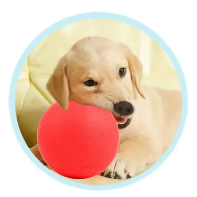 Hot Cat Ball Toy
