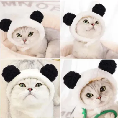 Bulk Dog Cat Hat