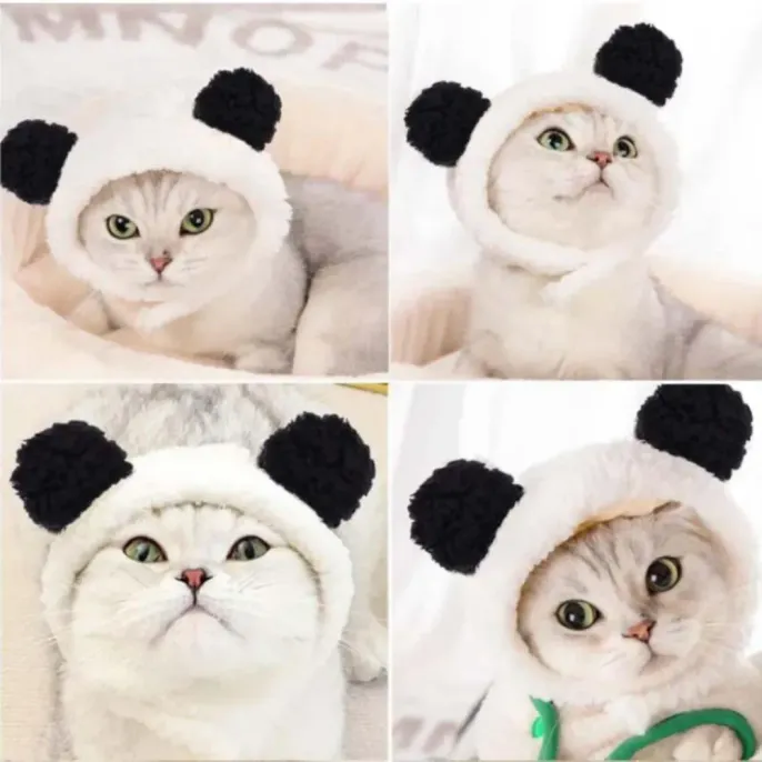 Bulk Dog Cat Hat Bulk Dog Cat Hat