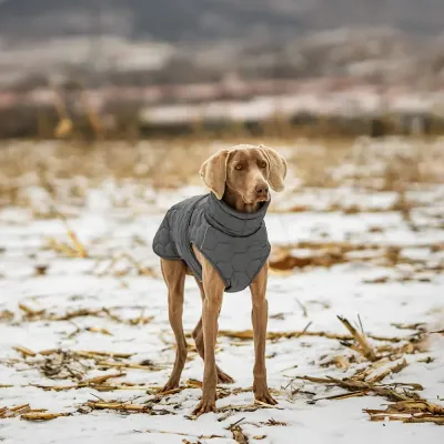 outdoor dog jacket outdoor dog jacket wholesale