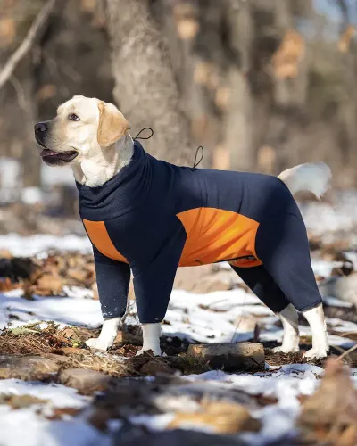 cotton padded dog coat warm cotton padded dog coat