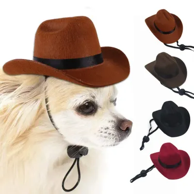 cowboy hat for dogs Timeless cowboy hat for dogs