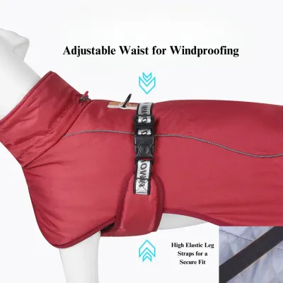 outdoor dog jacket outdoor dog jacket wholesale