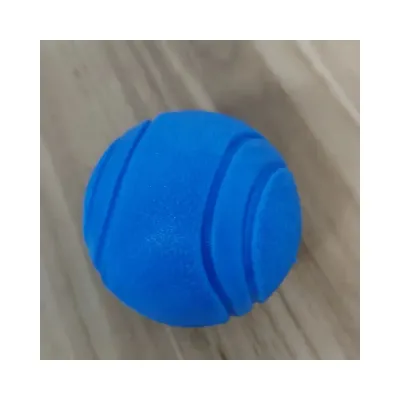 Dog Ball Toy Blue
