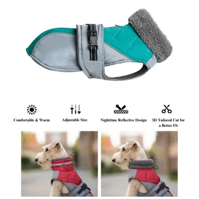 Statement dog jacket