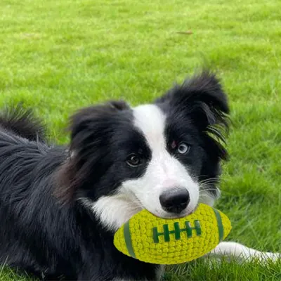 rugby ball dog toy rugby ball dog toys