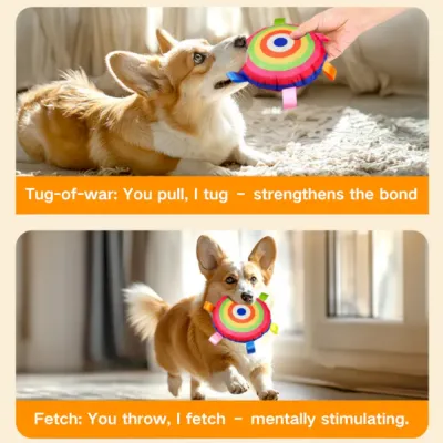 dog frisbee toy bulk