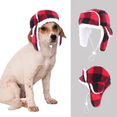 dog hats