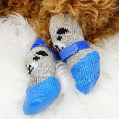 medium dog socks wholesale