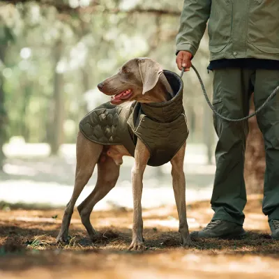 large dog winter coat high quality large dog winter coat